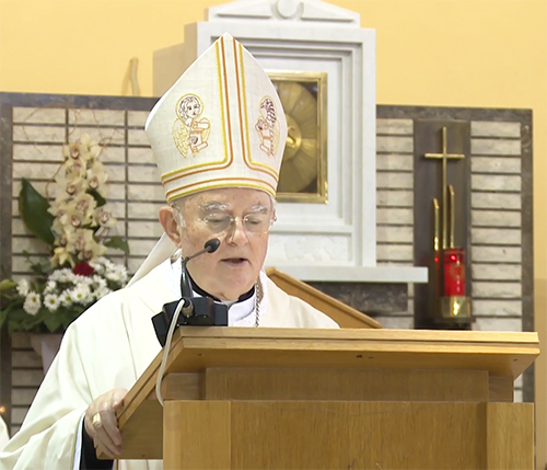 总主教 Henryk Hoser 的复活节问候