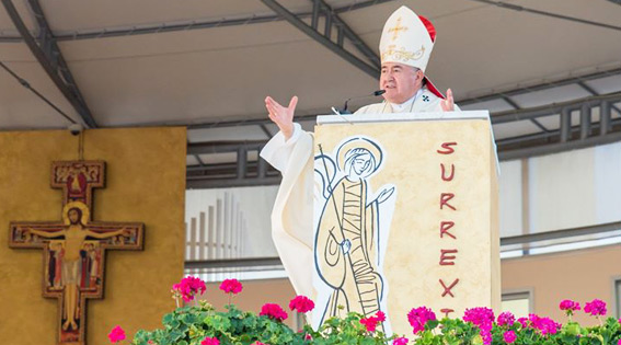 总主教 Vinko Puljić 的讲道