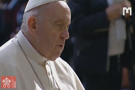 引言及簡短的報導