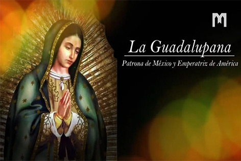 音樂: La Guadalupana