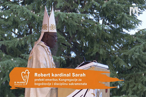 彌撒講道：Robert Sarah主教