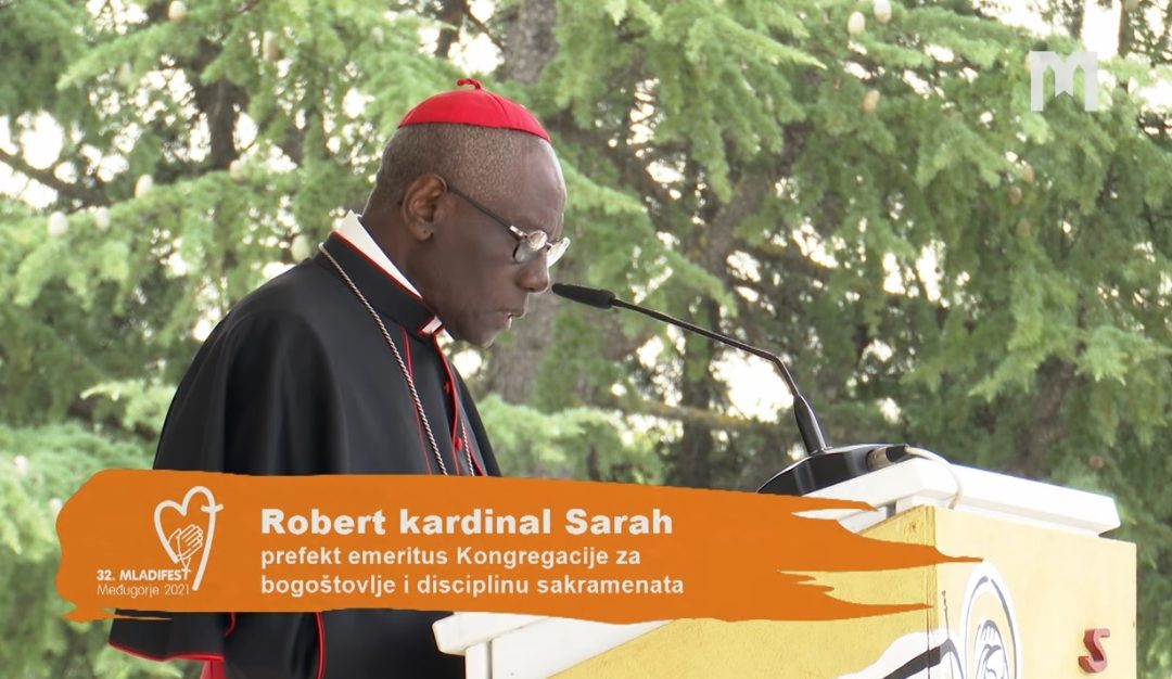 教理讲授：Robert Sarah 枢机主教