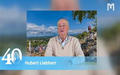 Hubert Liebherr, 德语国家的默主哥耶资讯中心主任
