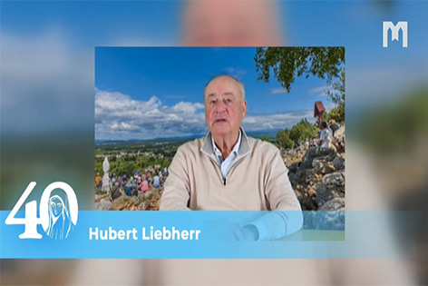 Hubert Liebherr, 德语国家的默主哥耶资讯中心主任