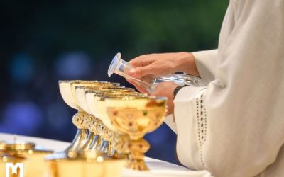 2026年1月統計數據