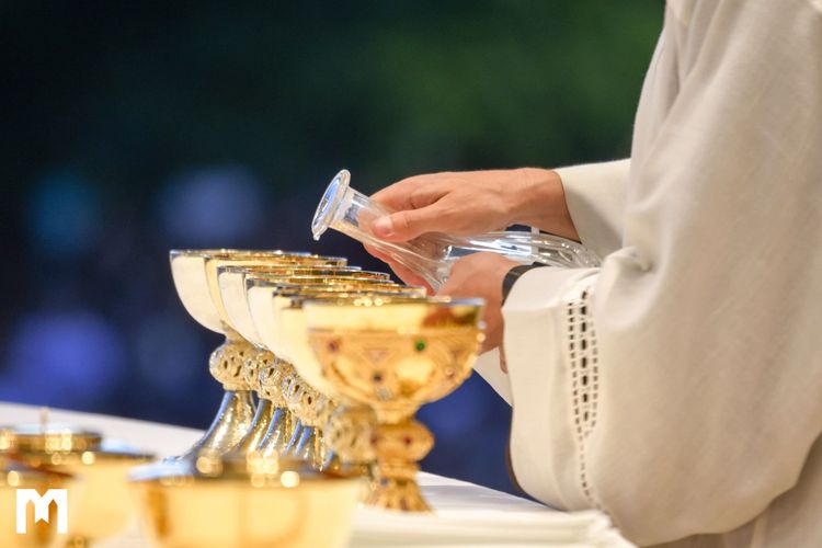 2026年1月統計數據