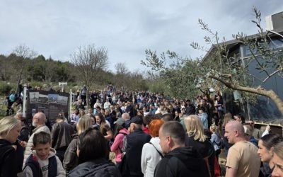 眾多信友於耶穌受難日在十字山上祈禱拜苦路