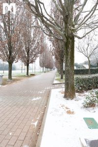 20260109-snow-covered-in-medjugorje-17